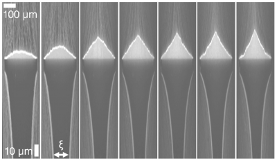 Formation of flow-stablized solids as a function of flow rate