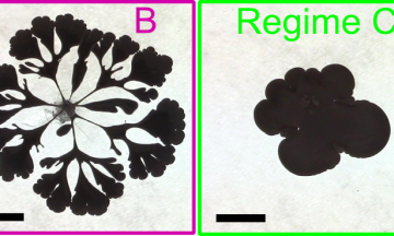 Sample images of eGaIn spreading
