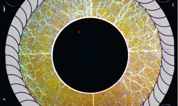 Annular shear cell with leaf spring boundary