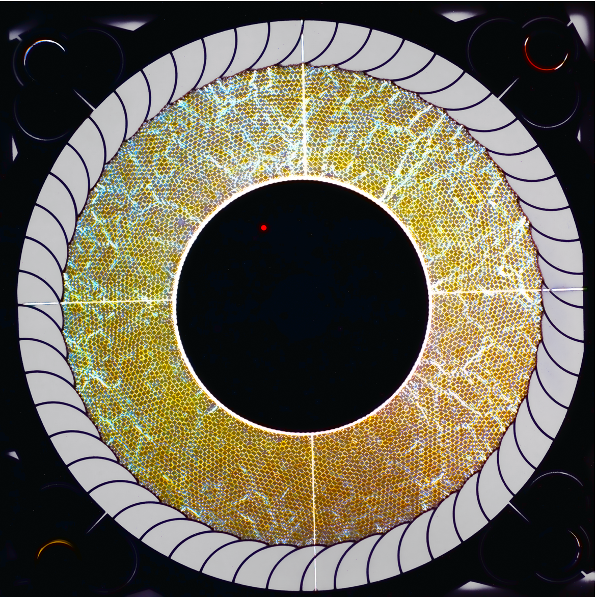 Annular shear cell with leaf spring boundary