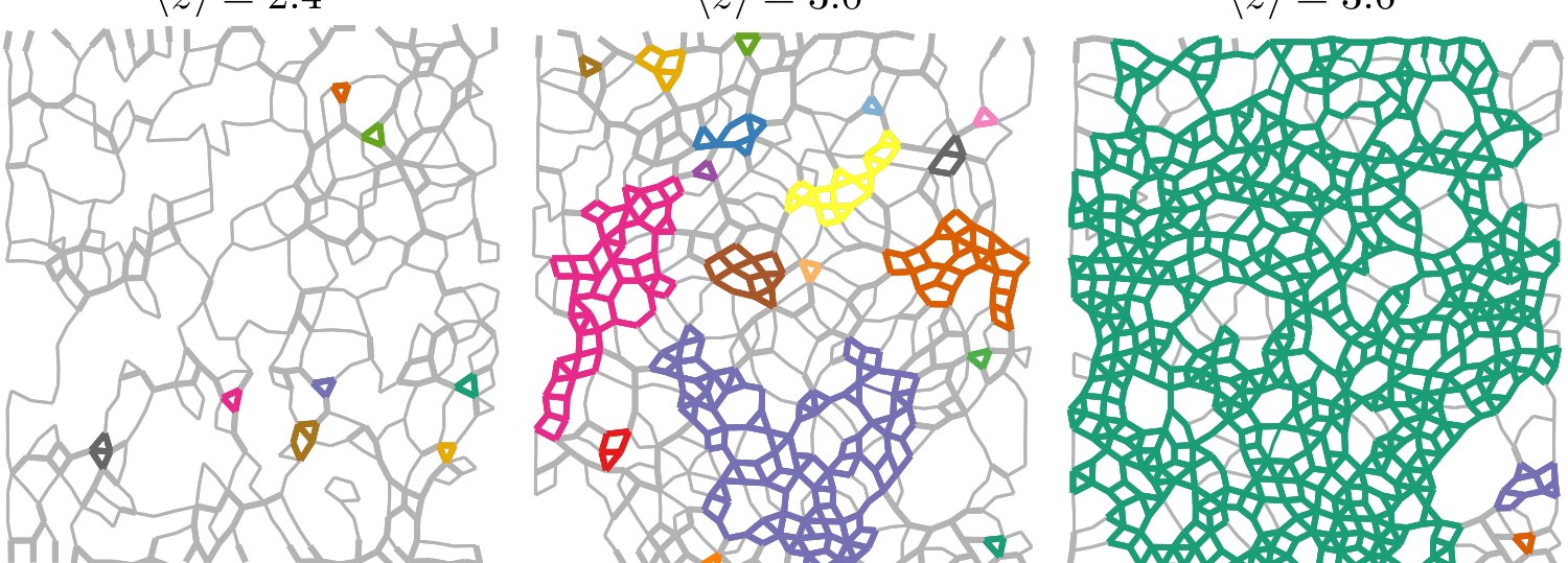 Images of disordered lattices, overlayed with the rigid clusters