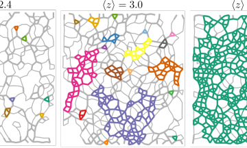 Images of disordered lattices, overlayed with the rigid clusters